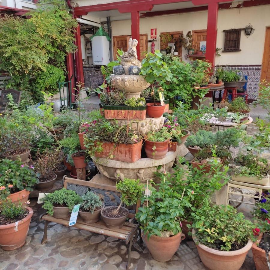 Hostal Castilla Аранхуес Екстер'єр фото