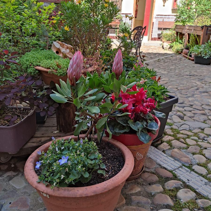 Hostal Castilla Аранхуес Екстер'єр фото
