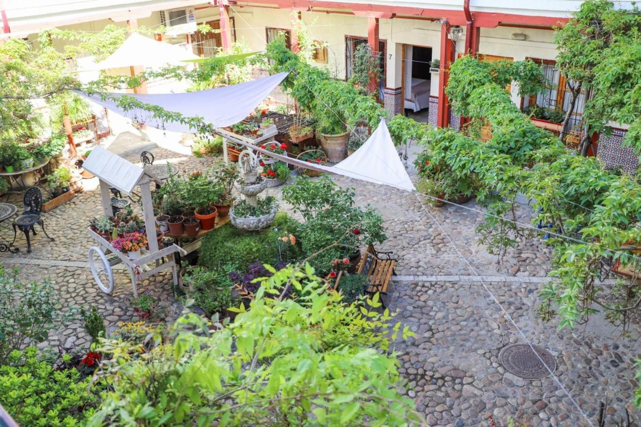 Hostal Castilla Аранхуес Екстер'єр фото